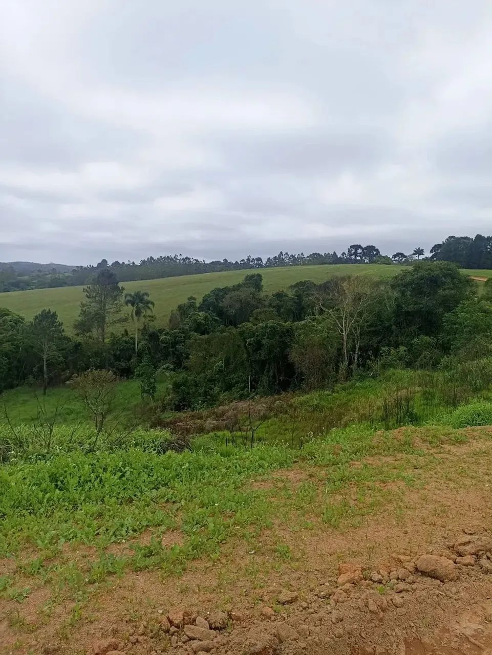 Imóvel para venda tem 600 metros quadrados em Centro - Cotia - SP - Foto 5