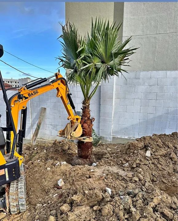 Mini escavadeira Por apenas R$ 99,00 /h - Foto 5