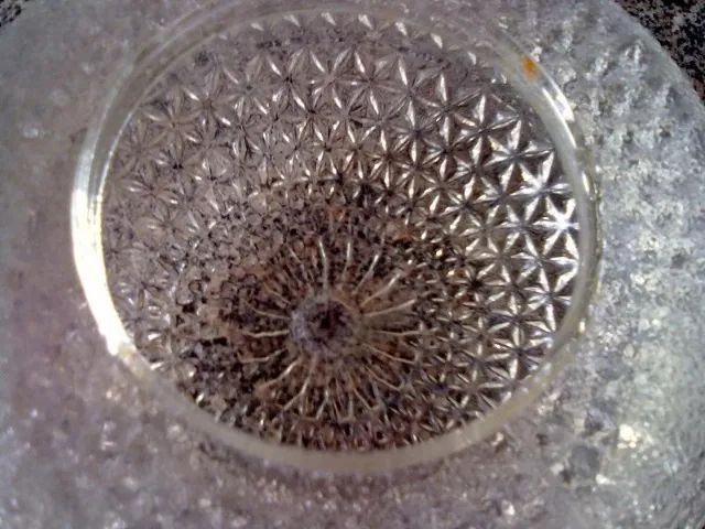 Combo Antigos De Lustres Globo De Vidro Canelado Dos Anos 80 - Foto 4