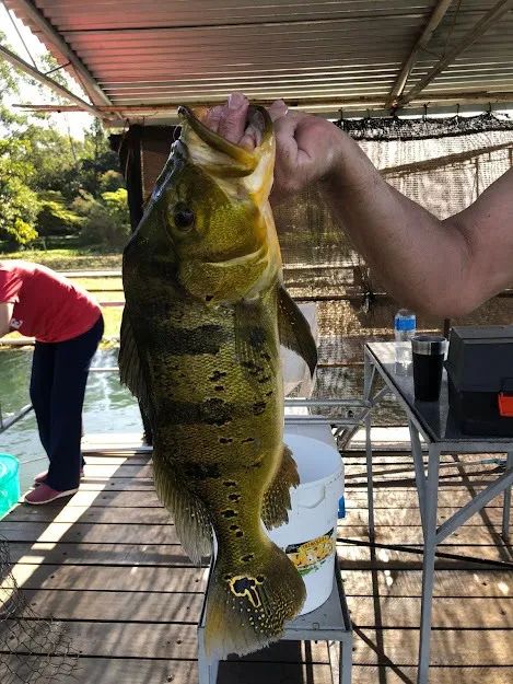 Rancho confortável Pacotes: Natal e Carnaval - Foto 11