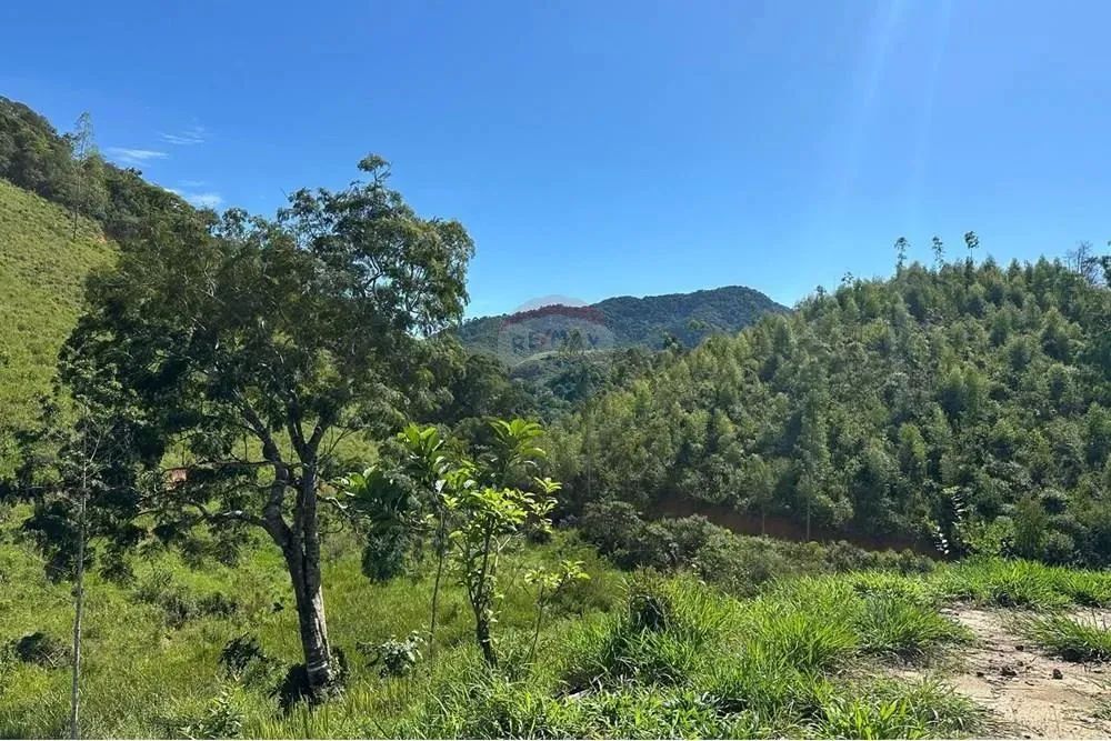 Fazenda em Braçanã para quem procura um excelente investimento ou tranquilidade.