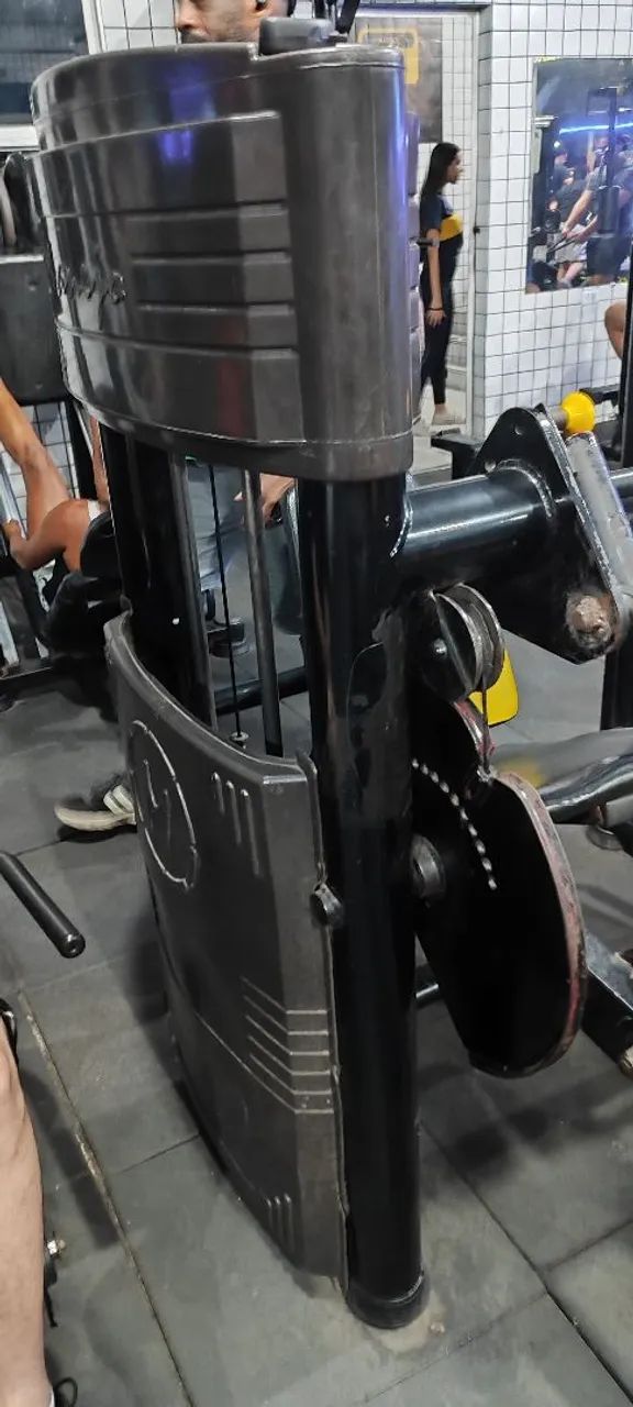 Extensora/Flexora 64293896669569120