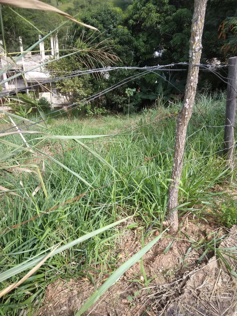 Vende lote - Foto 2