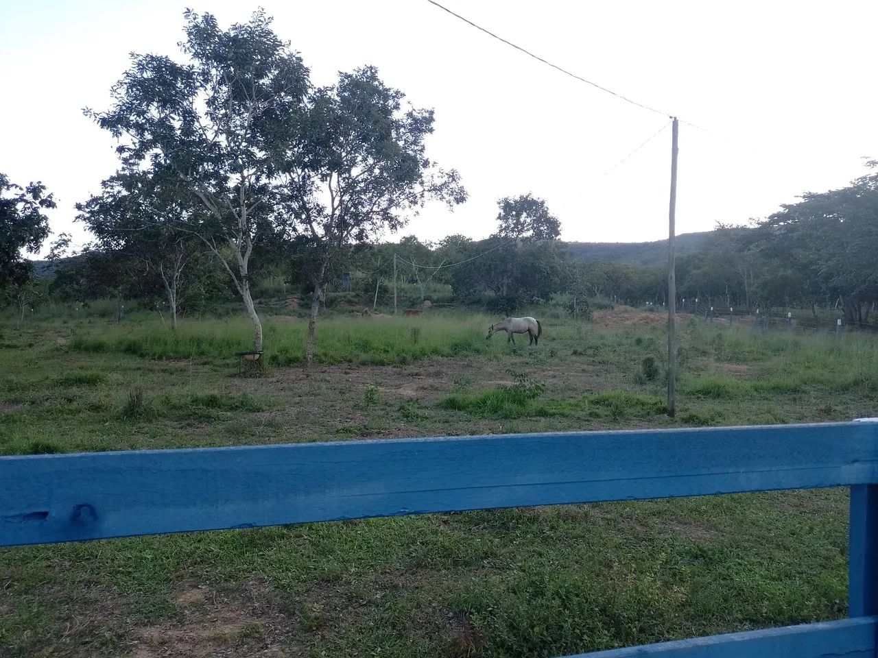 FAZENDINHA  EM BURITIS MG - Foto 4