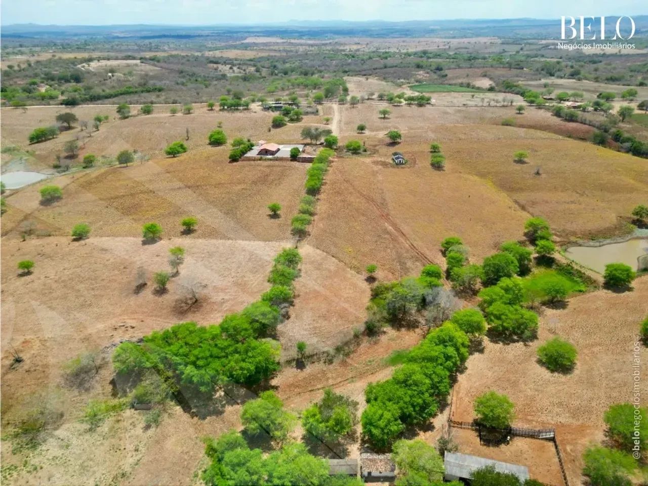 Fazenda com 42 Hectares em Pernambuco - Foto 3