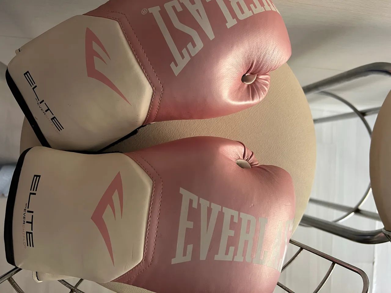 LUVAS DE BOXE EVERLAST