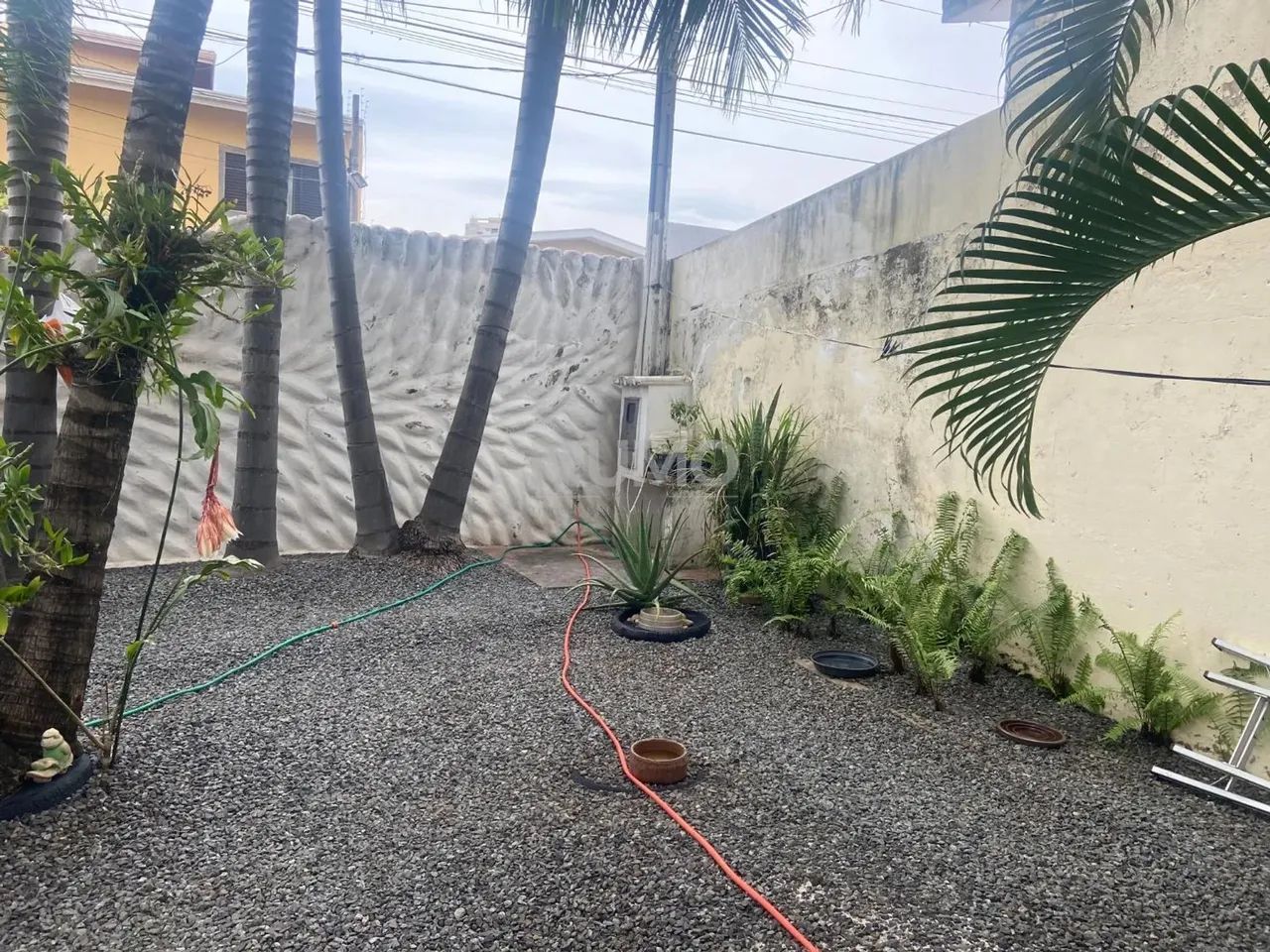 casa - Jardim Dom Nery - Campinas - Foto 2