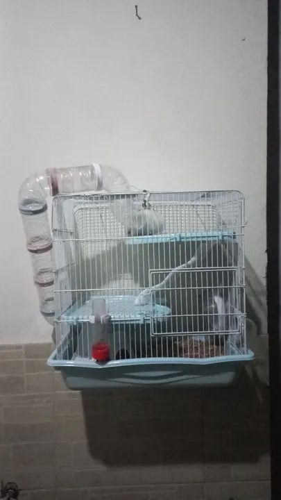 Gaiola para Roedores com Tubo