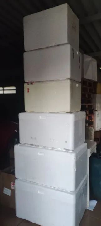 Caixa de Isopor tamanhos diversos  - Foto 4
