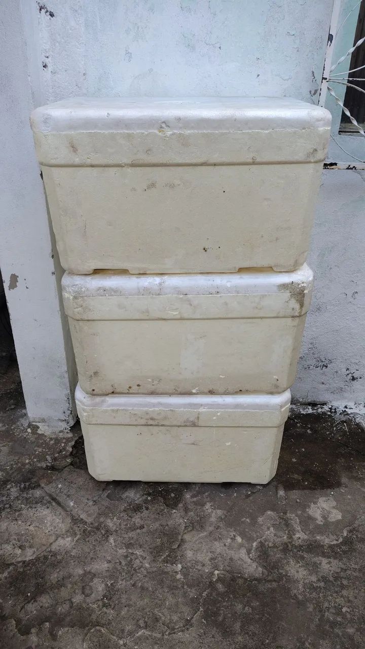 Caixas Térmicas de Isopor tamanhos variados 