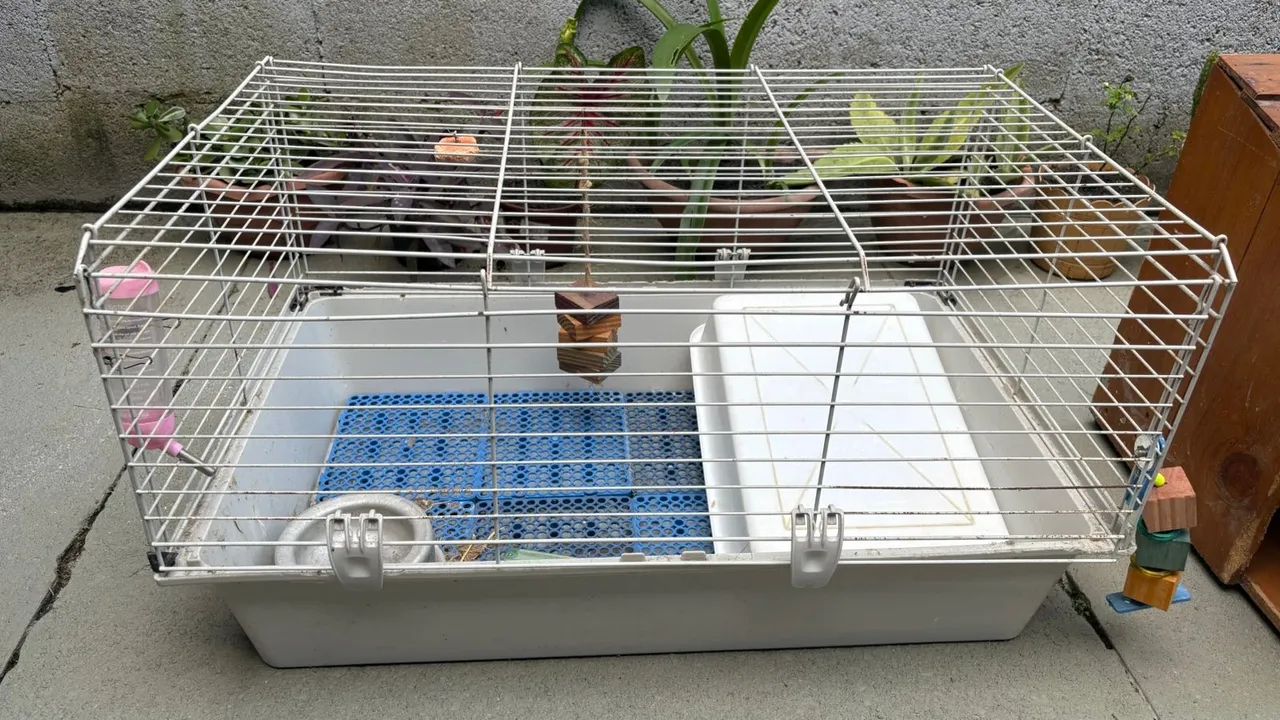 Gaiola para roedores com casinha de madeira e mais - Foto 2