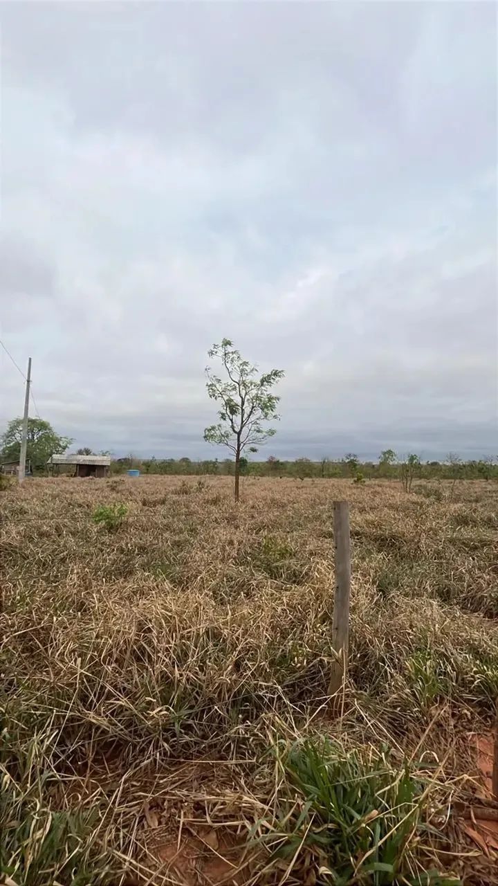 CÓD 556  Chácara 7 hectares  30 km de Campo Grande/MS (MS-040)