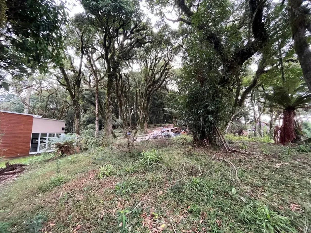 Terreno em Condomínio - Bairro Centro - Foto 2