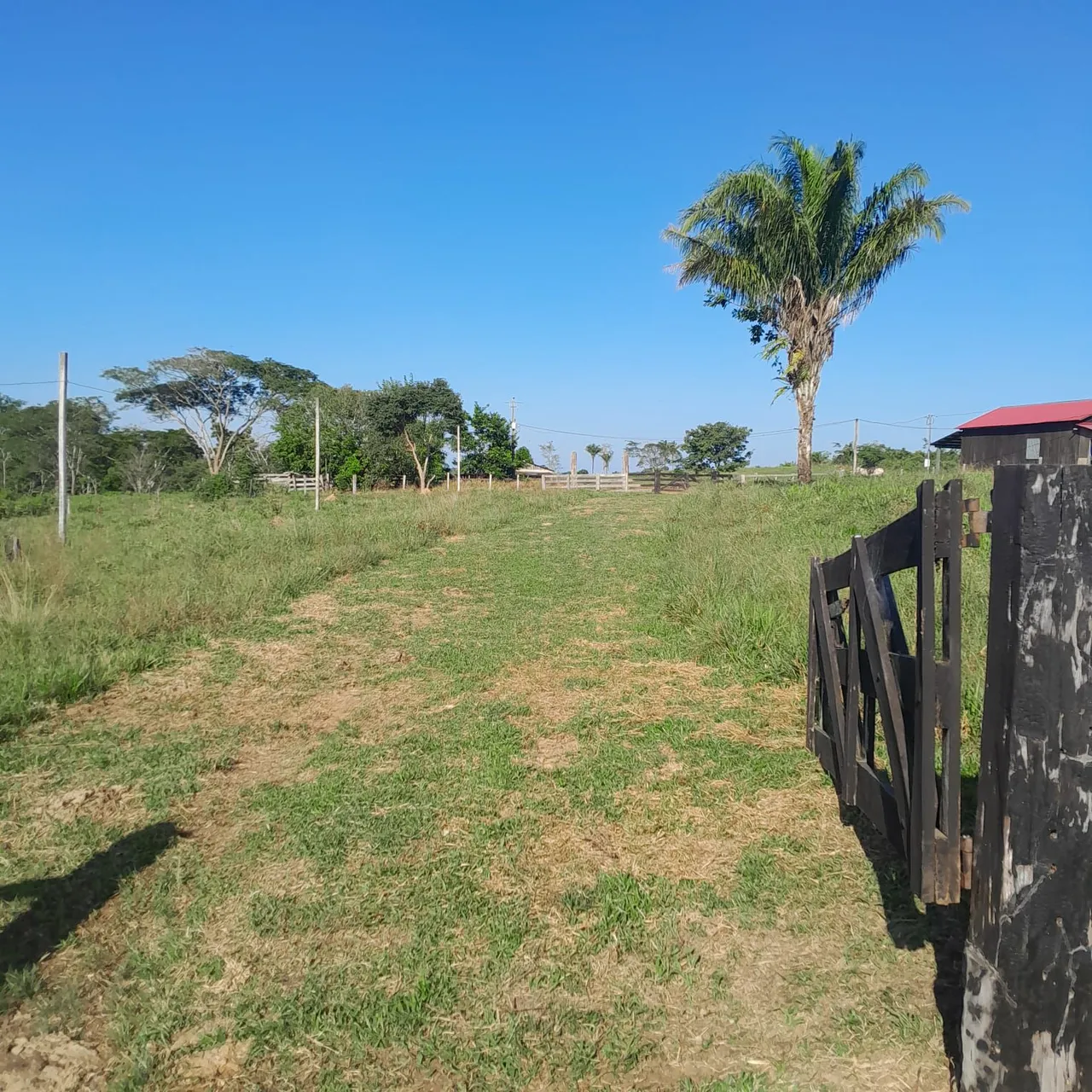 Vende-se colônia na Alcoolbras