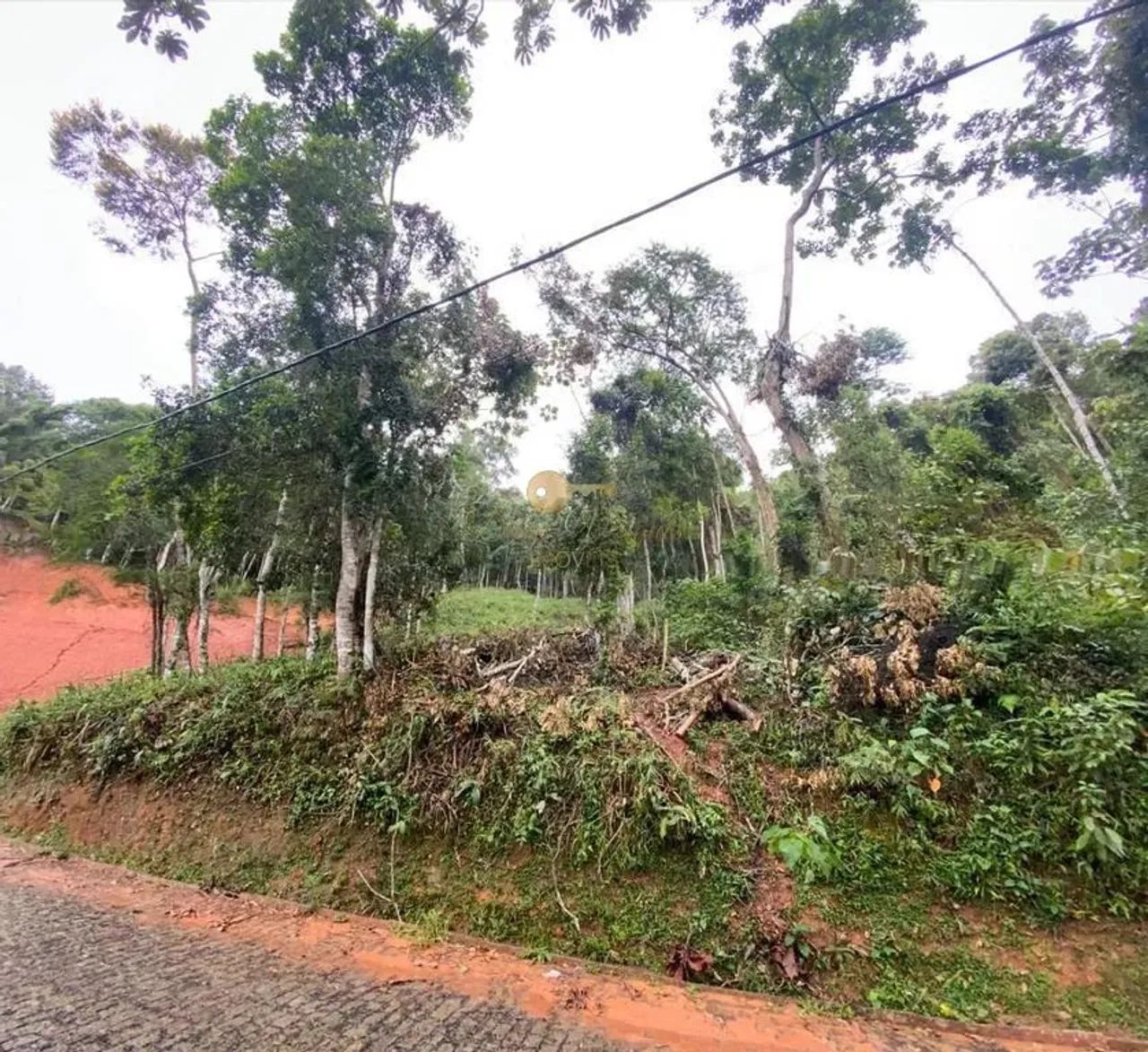 Terreno em Condomínio para Venda em Teresópolis, Parque do Imbui - Foto 2