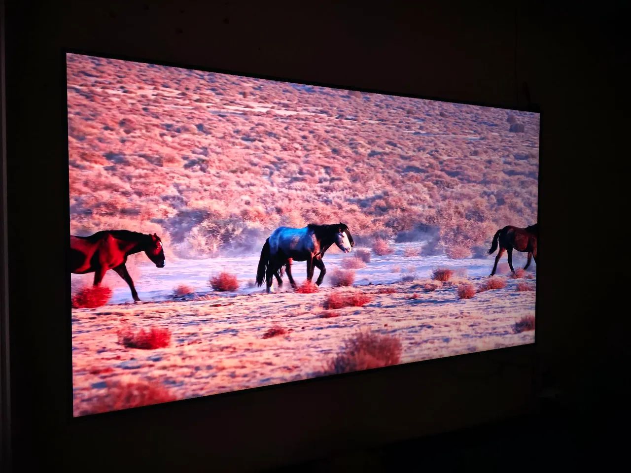 SmarTV Qled - Foto 2