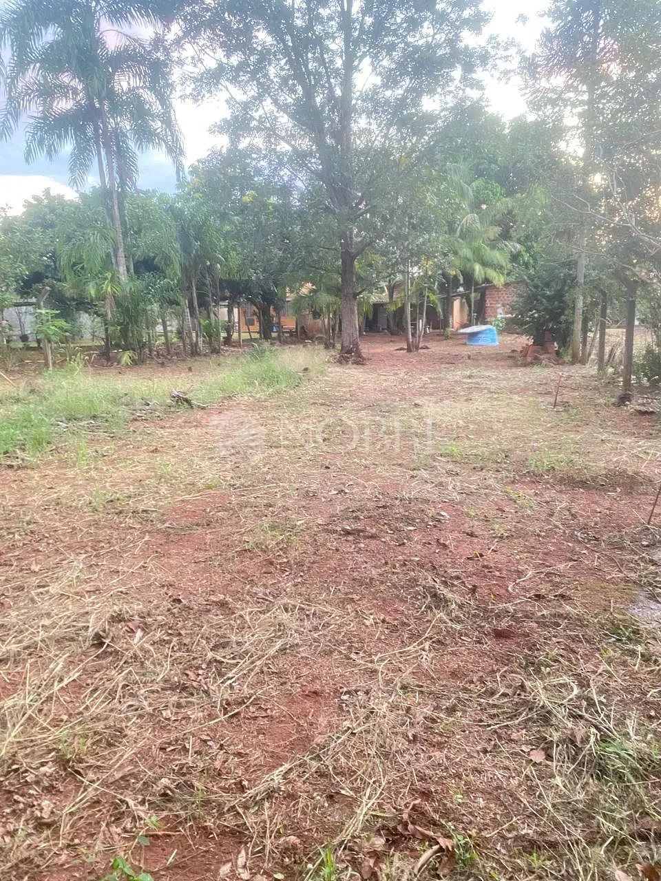 Chácara Rio Ivaí - Foto 2