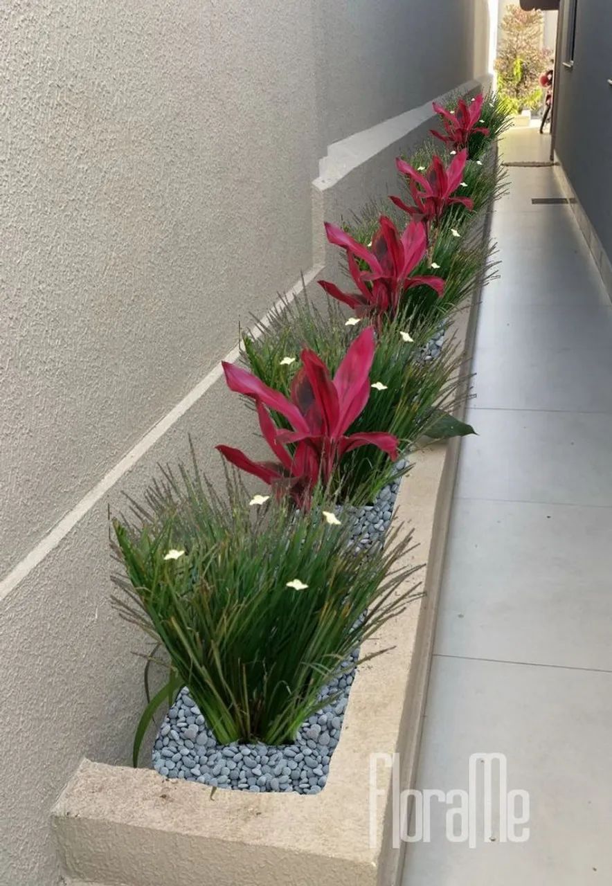 Paisagista em Florianópolis  - Foto 4