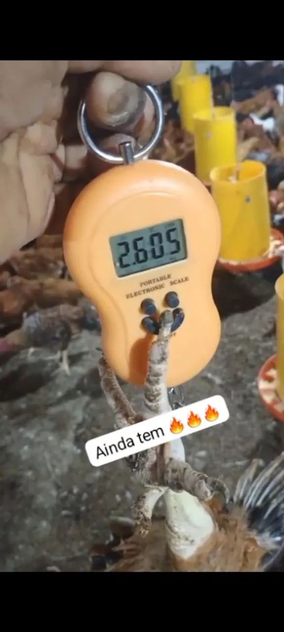 Vendo 45 - Foto 2