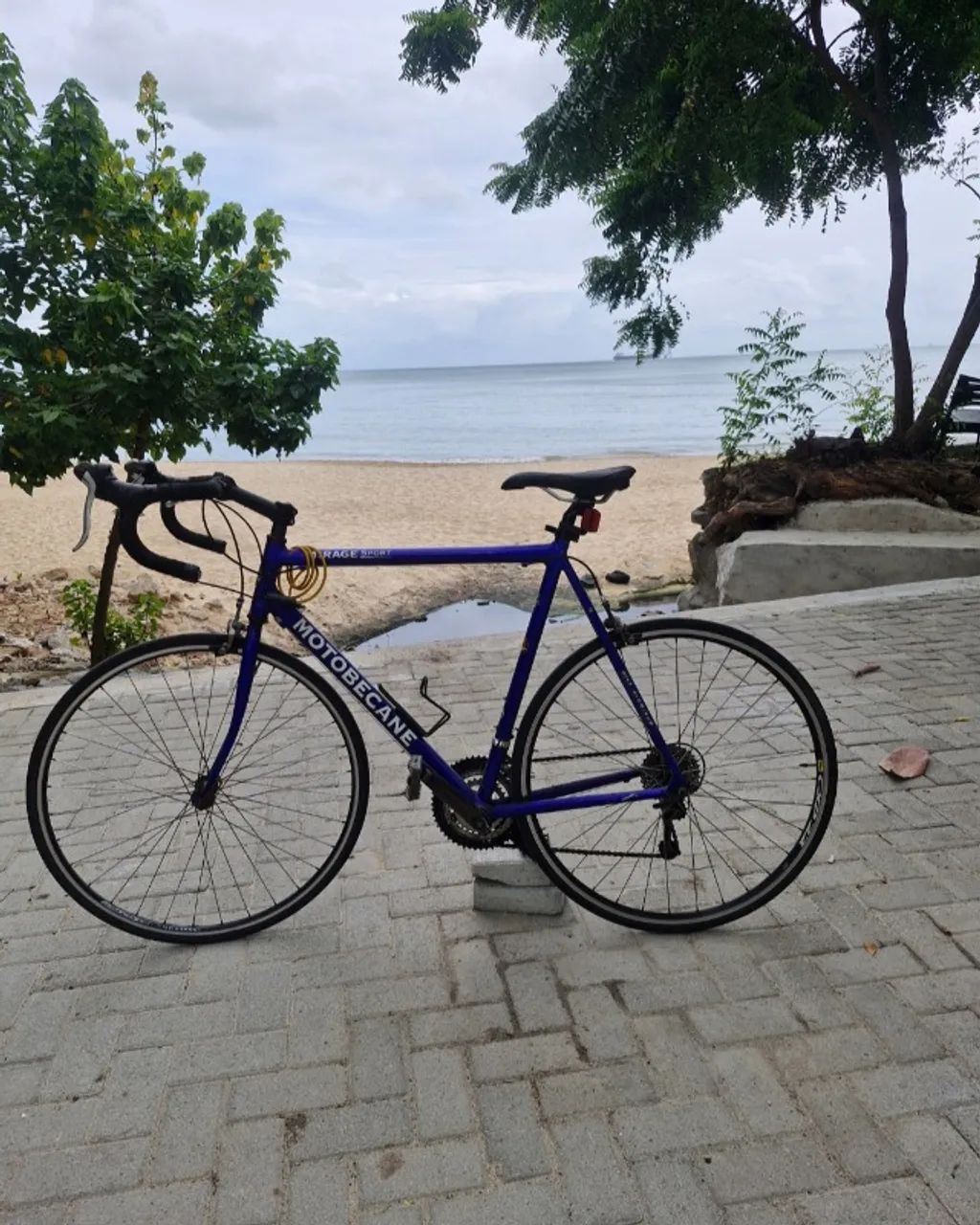 Bicicleta Magrela relíquia  - Foto 2