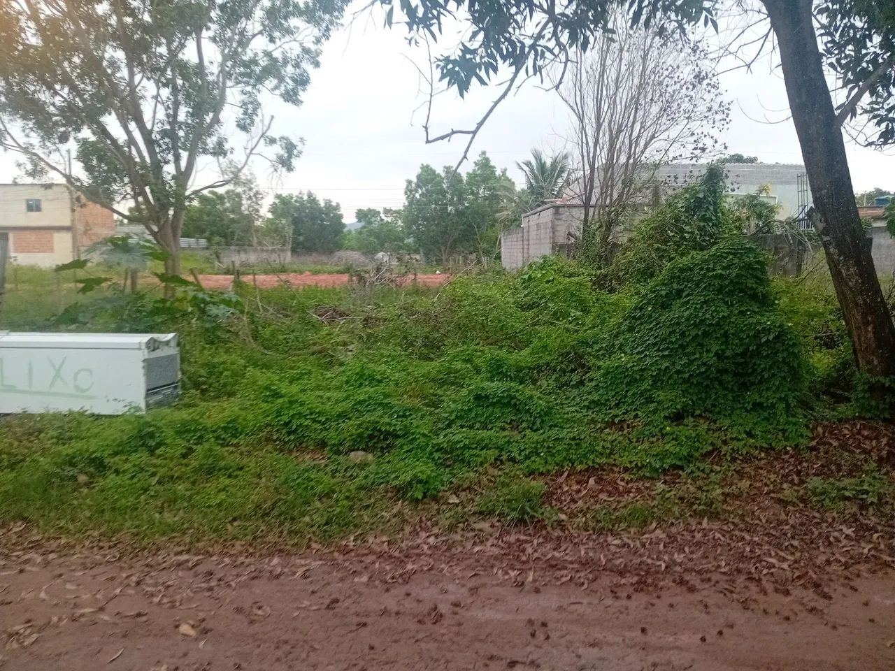 Lote12x25 - Foto 5