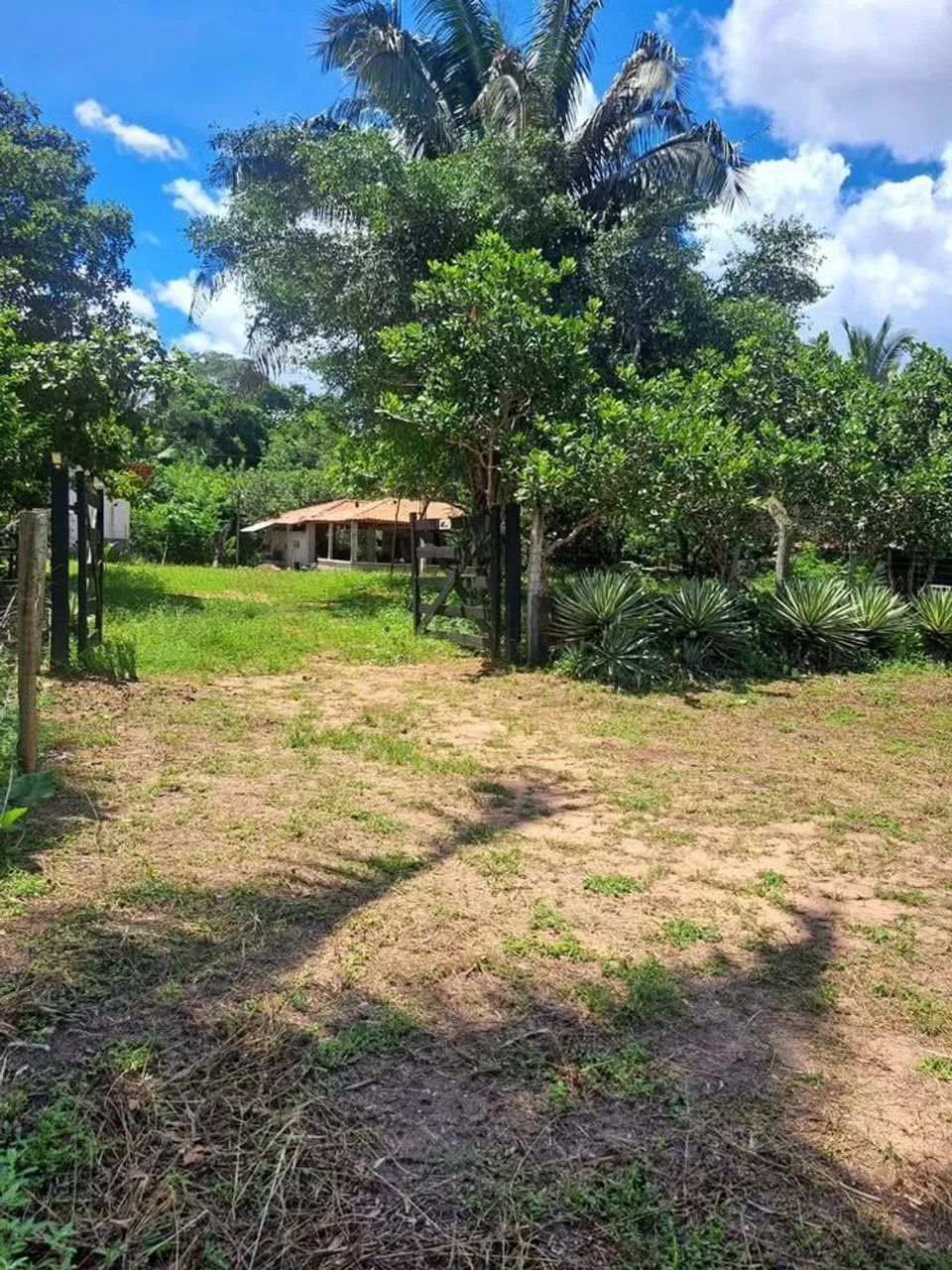 CHÁCARA A VENDA EM ITAGUATINS  - Foto 4