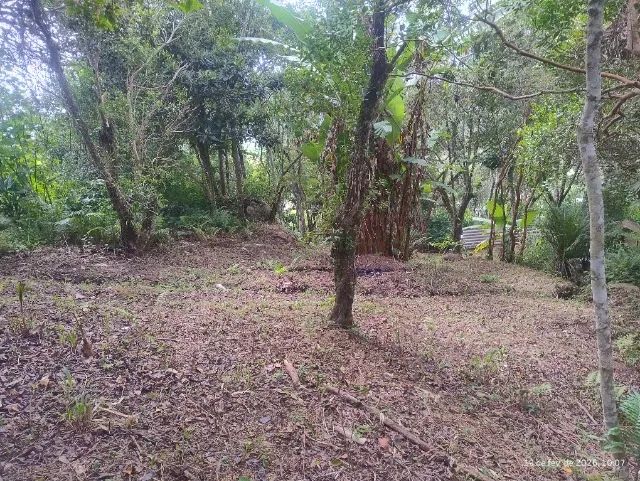 Terreno Bairro Ratones 500m2