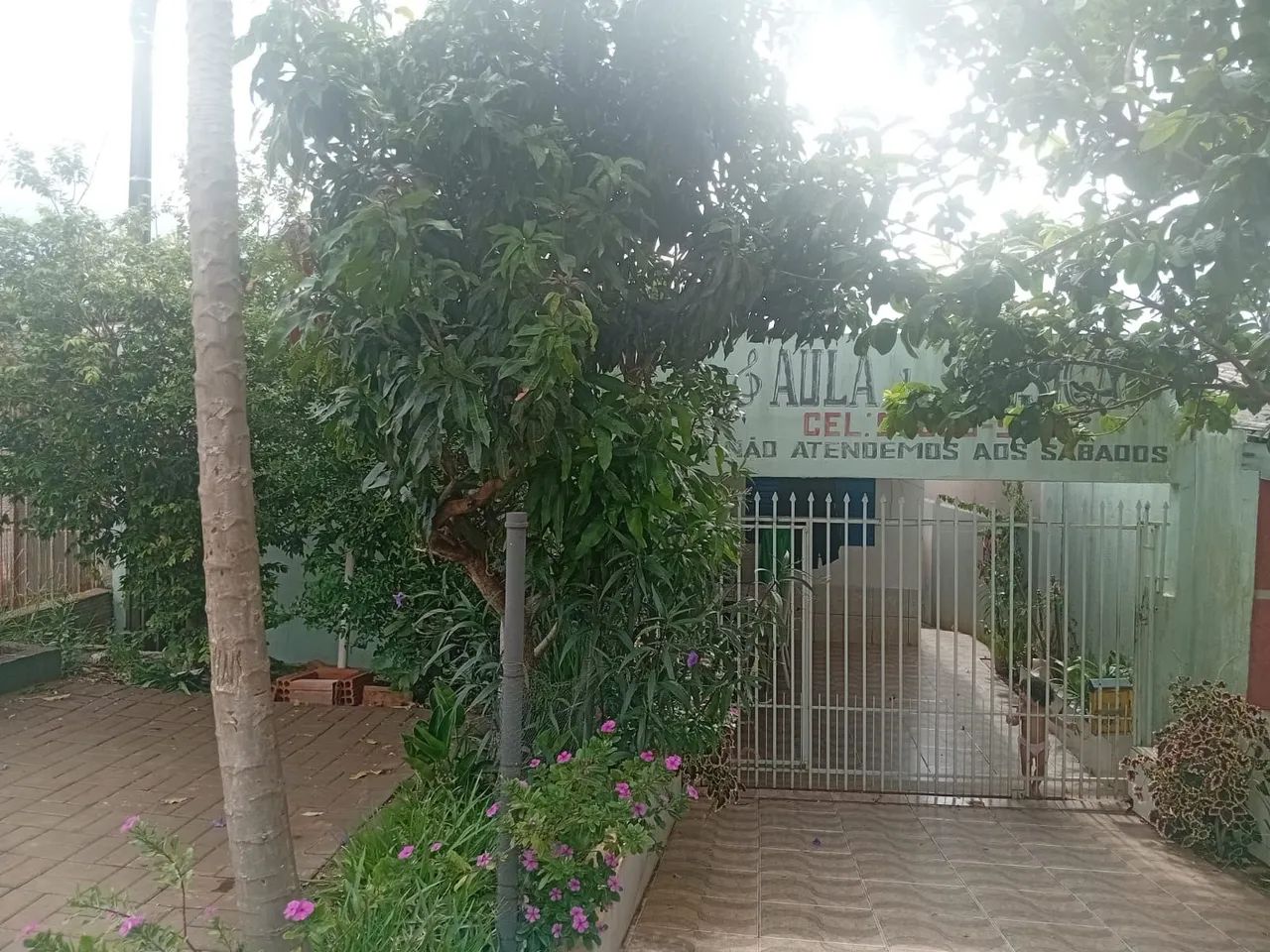 Foto - Cascavel - Floresta