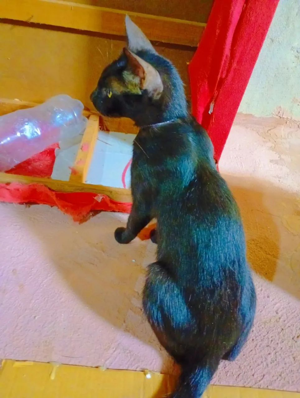 Doação 