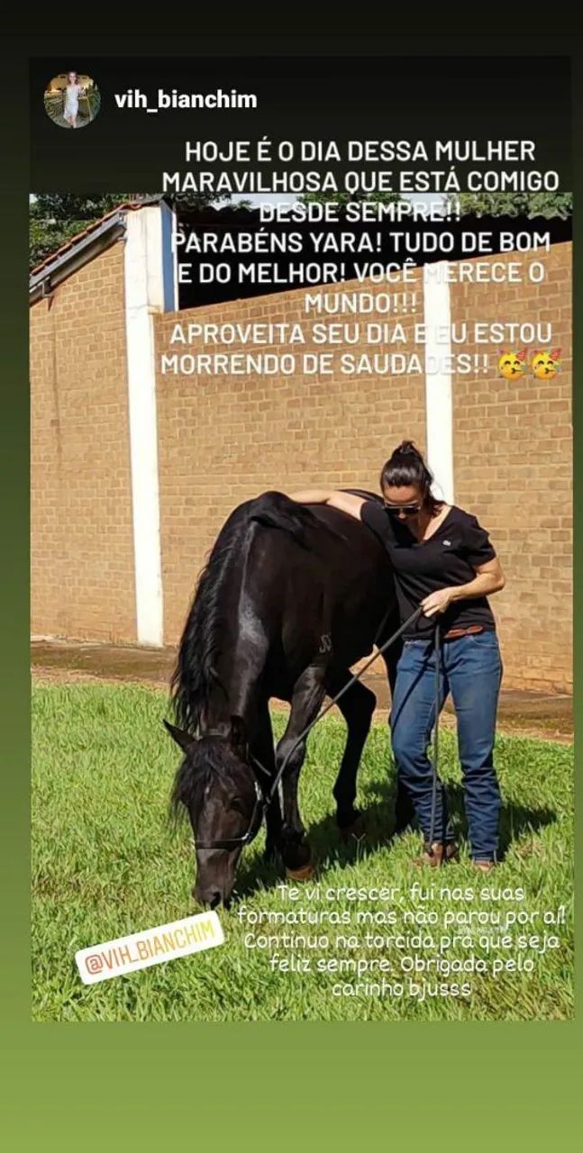 Raridade, cavalo preto Registrado, manso de marcha batida, lindo, quem vê quer montar! - Foto 6