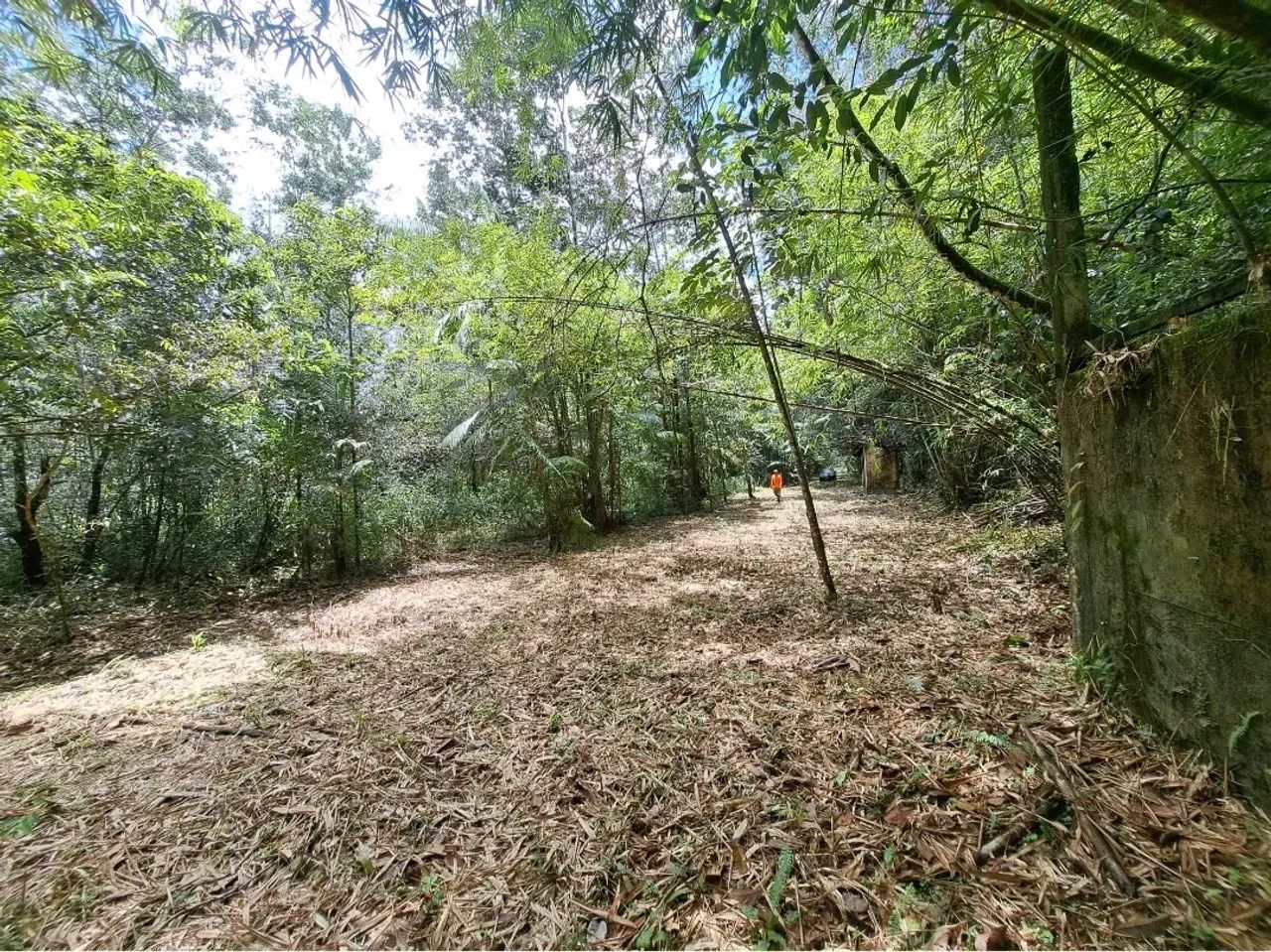 Terreno em Santa Bárbara do Pará - Foto 2