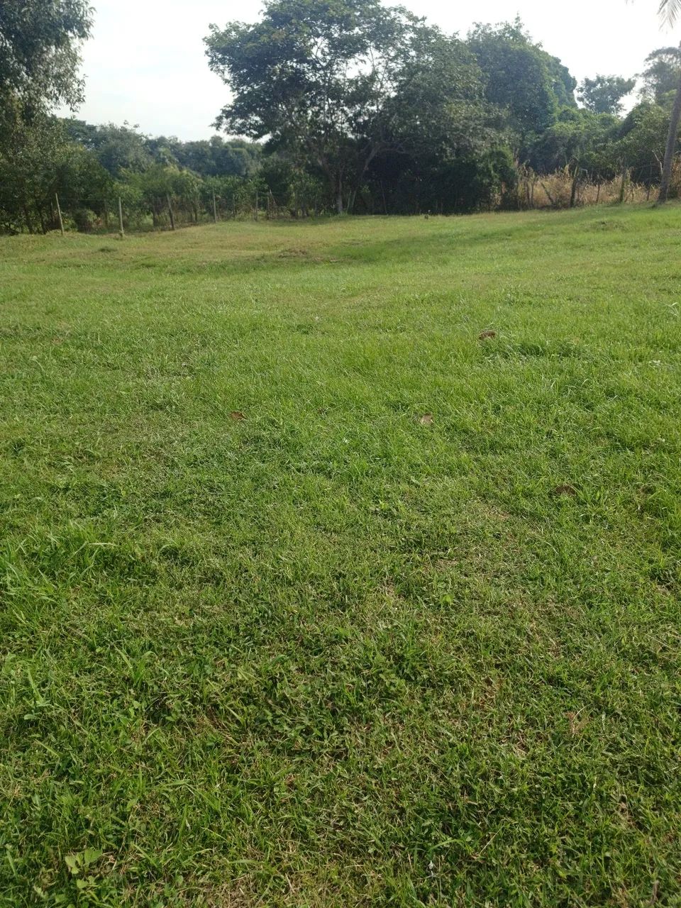 CHÁCARA PRÓXIMA A MARICÁ - Foto 3