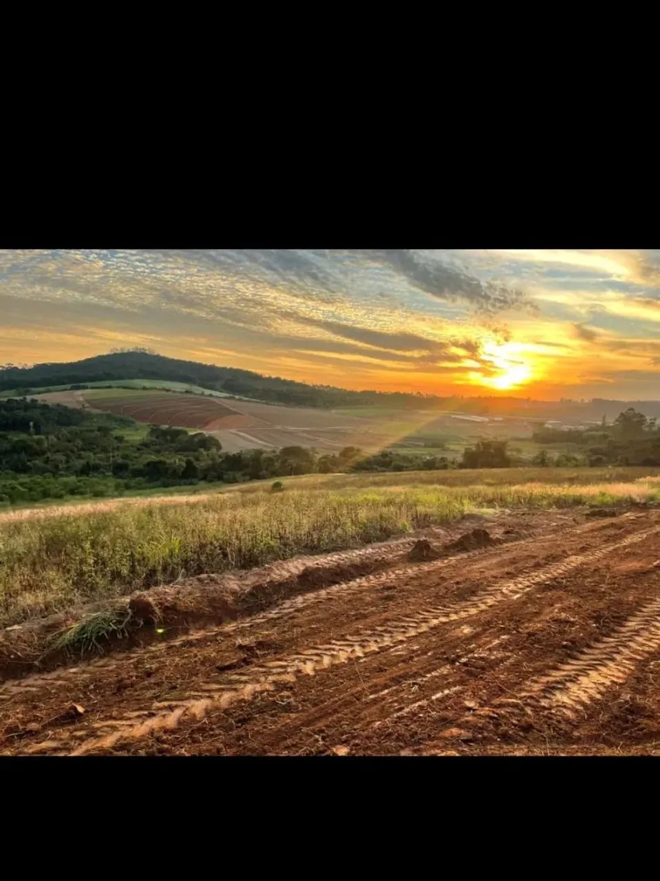 83CN - Seu Terreno em Parcelas Acessíveis - Foto 5