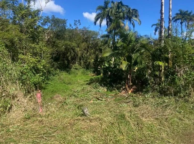 Terreno Na cidade de Antonina  - Foto 2