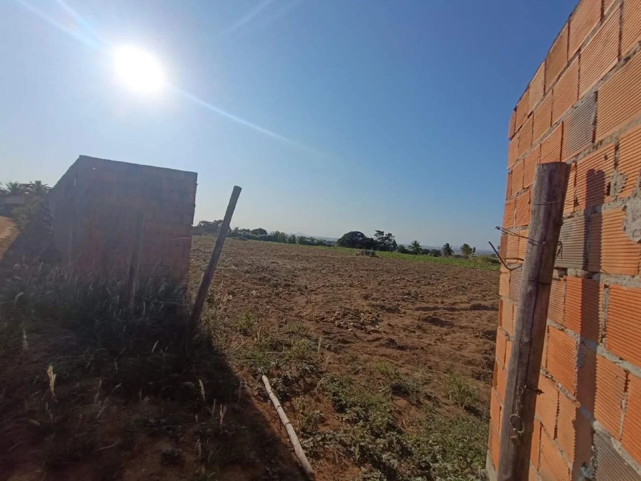 EXCELENTE SÍTIO A VENDA NO POVOADO SERRA EM ITABAIANA/SE - Foto 5