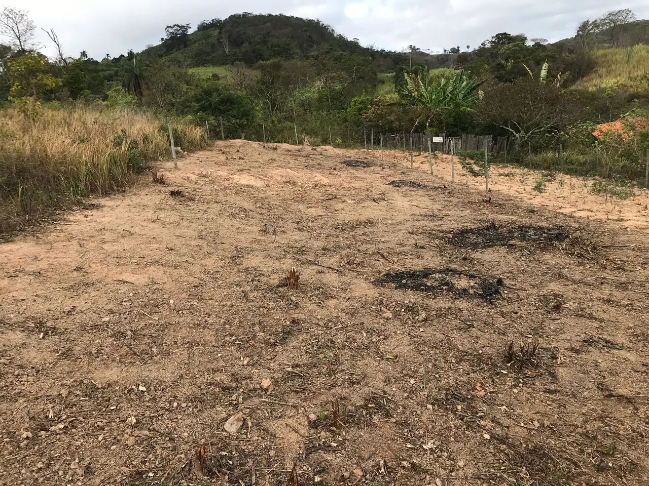 Lote 360m em nova esperança  - Foto 4