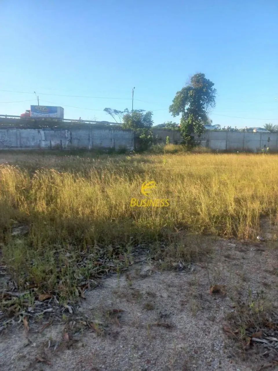Terreno na Br 116 - Foto 5