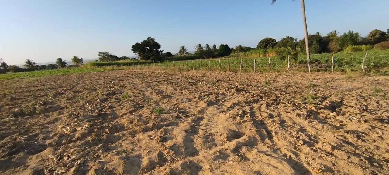 EXCELENTE SÍTIO A VENDA NO POVOADO SERRA EM ITABAIANA/SE - Foto 3