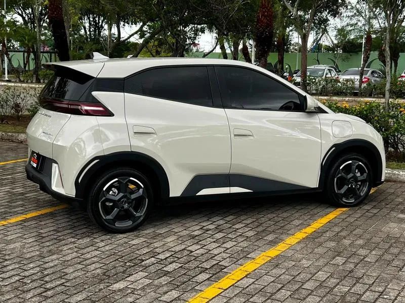 BYD Dolphin EV (Elétrico) 2024 - Foto 2