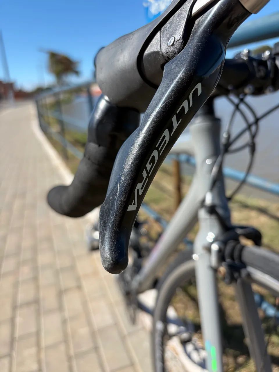 Speed Giant Tcr 