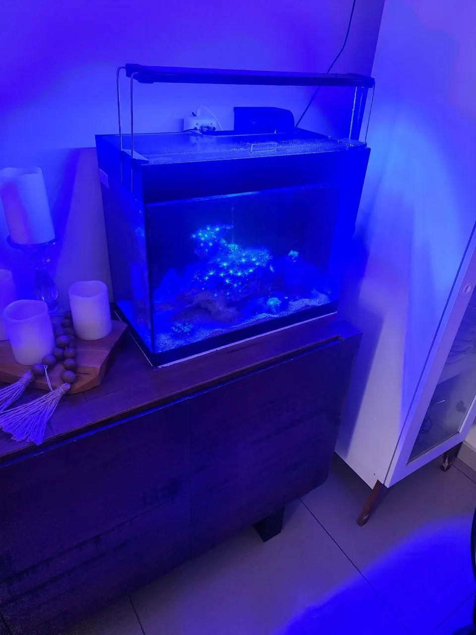 Aquario 40 litros  - Foto 2