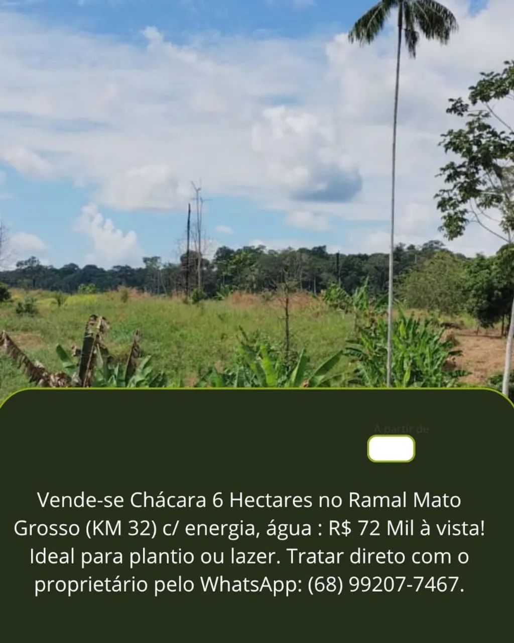 vende - se uma chácara 