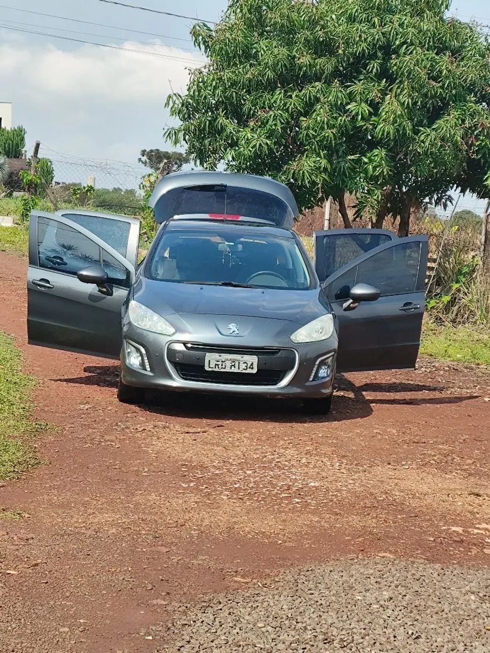 Peugeot 308 ACTIVE 1.6 16V FLEX 2014