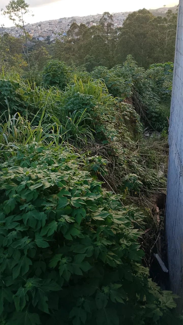 TERRENO 4x26 JARDIM ANGELA ZS - Foto 2