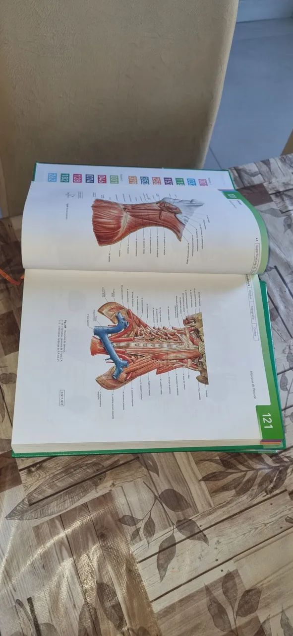 Livro de anatomia sobotta - Foto 3