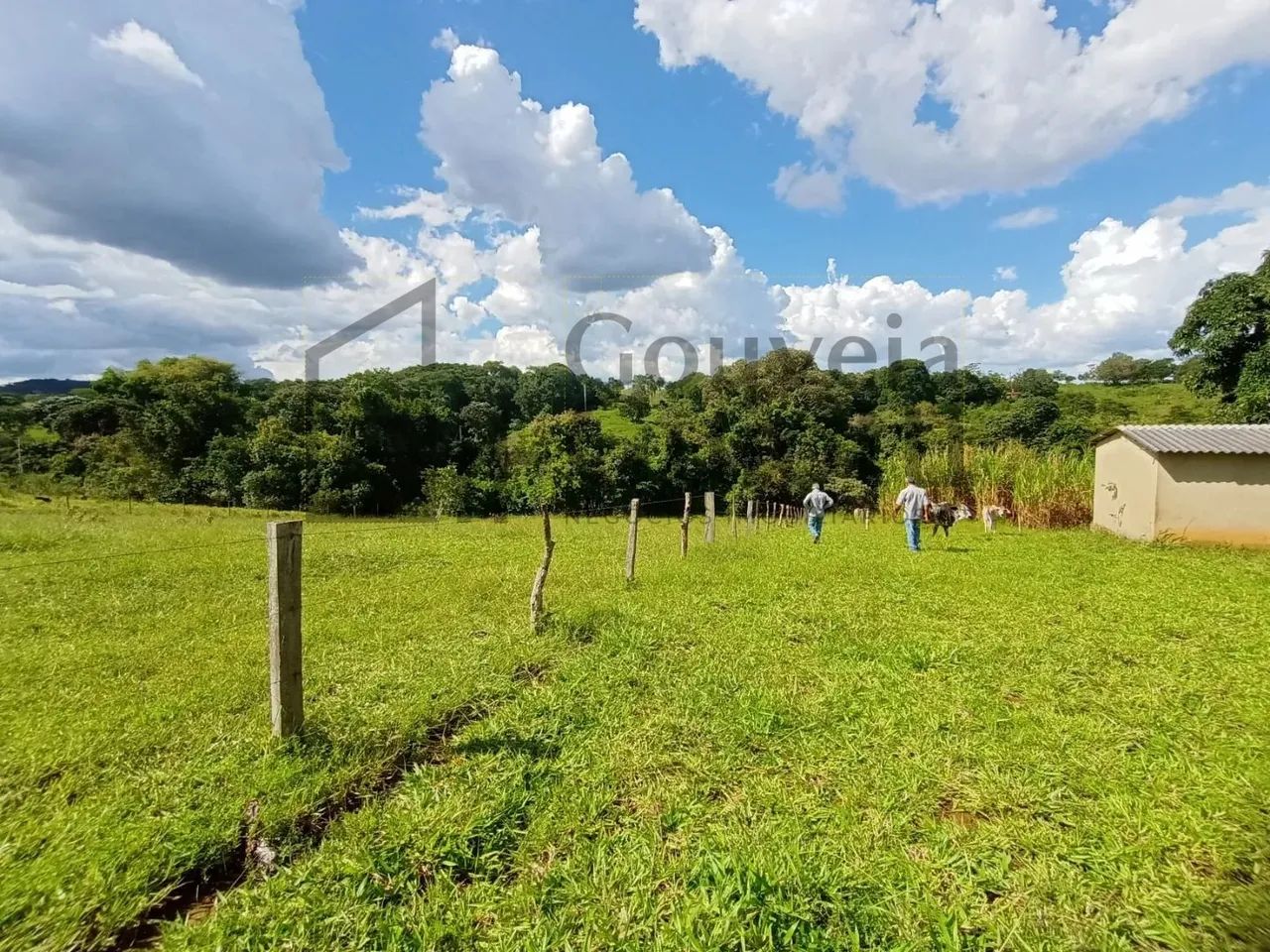 Chácara - Zona Rural - Abadiânia - Foto 4
