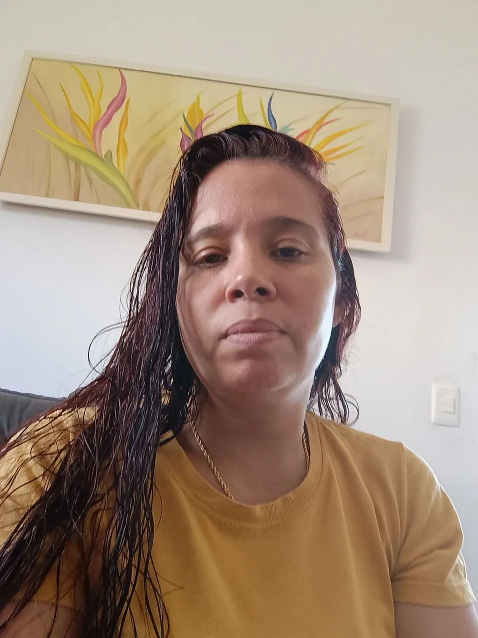 Diarista 
