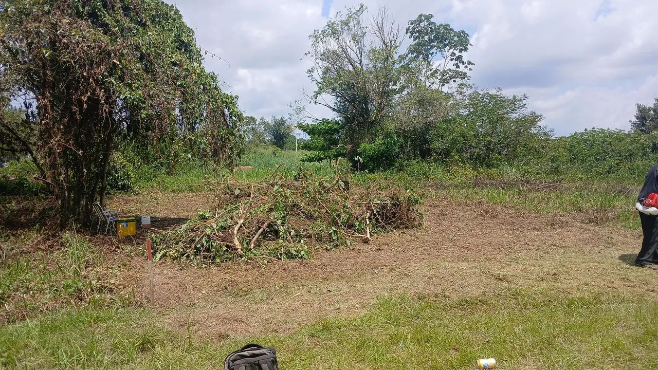 Terreno - Foto 4