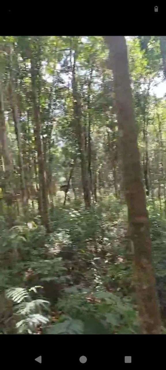 Terreno em Caeté  - Foto 3