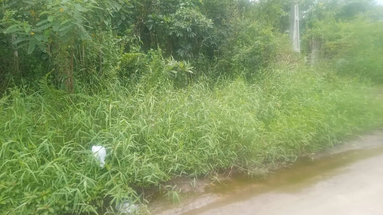 Vendo terreno Mongaguá  - Foto 2